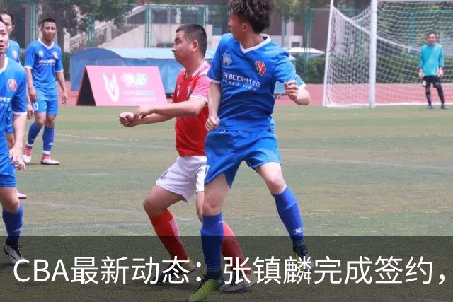 CBA最新动态：张镇麟完成签约，布朗续约谈崩，范子铭将转会山西